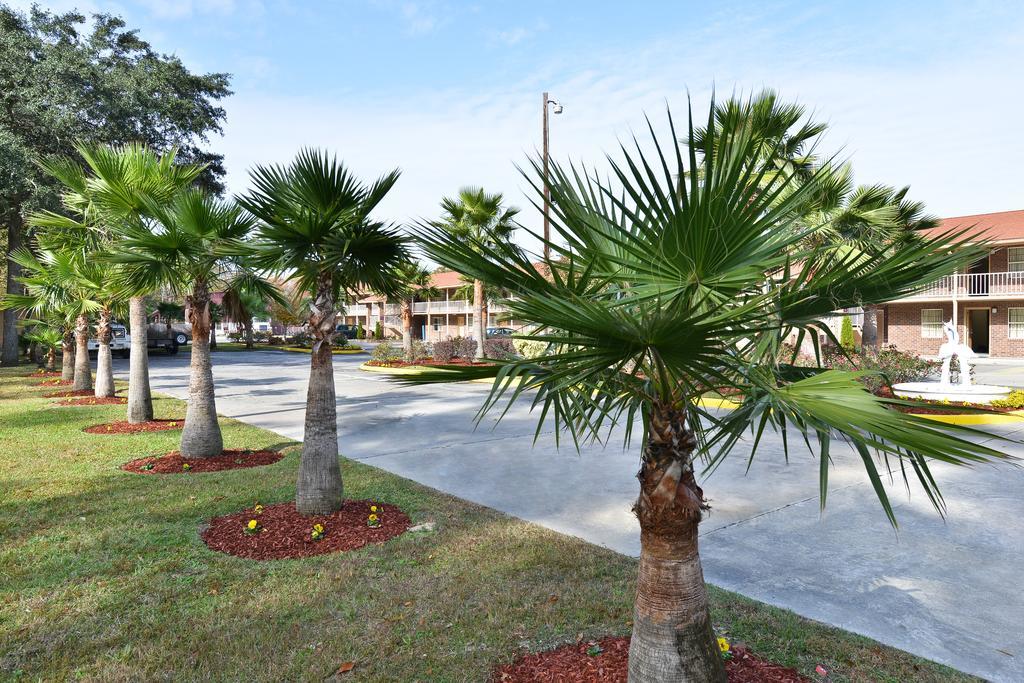 Savannah Inn And Suites Savannah Port Area Port Wentworth Bekvemmeligheder billede